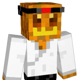 VeeBa Minecraft avatar bust