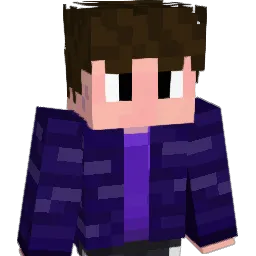 Veemo_49 Minecraft avatar bust