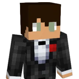 VeerYodha14 Minecraft avatar bust
