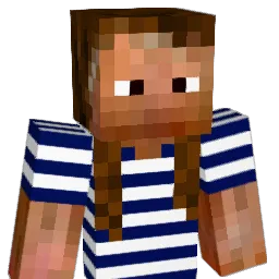 Veertje24 Minecraft avatar bust