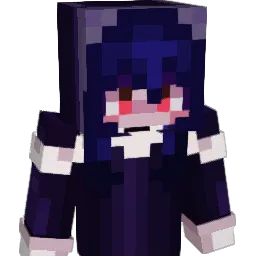 Veilzy