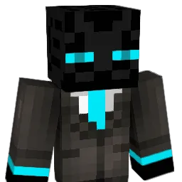 Ver_enderman's Minecraft skin