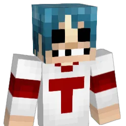 VeryMoistSock Minecraft avatar bust