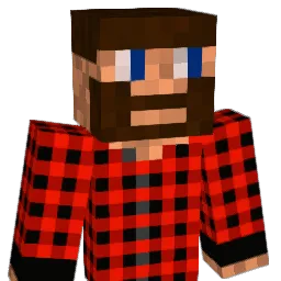 Vesticles3562 Minecraft avatar bust