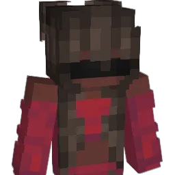 Vexr_24 Minecraft avatar bust