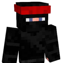 Veyjinn Minecraft avatar bust