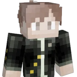 VfeiV Minecraft avatar bust