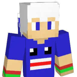 VhinyBR Minecraft avatar bust