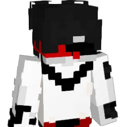 ViLe_N