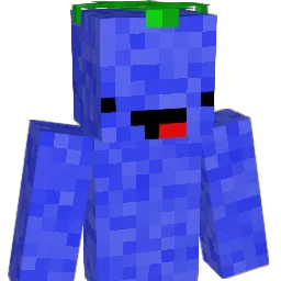 ViSsl Minecraft avatar bust