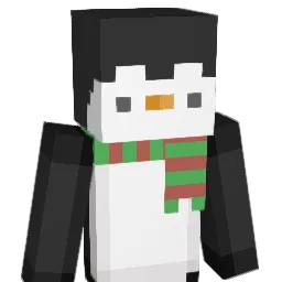 VibeBird11 Minecraft avatar bust