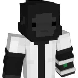 VibePhoenix Minecraft avatar bust