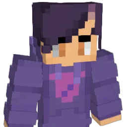 Vibe_2 Minecraft avatar bust