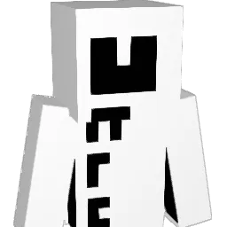 Victor2506 Minecraft avatar bust