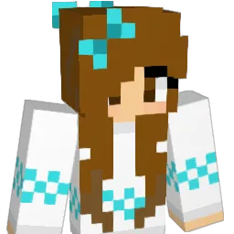 Vida222 Minecraft avatar bust