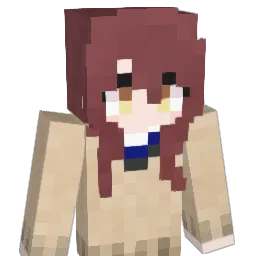 VideotapeP Minecraft avatar bust