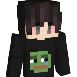 Vidroiul Minecraft avatar bust