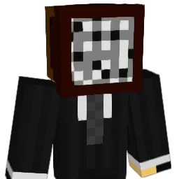 ViewsHD Minecraft avatar bust