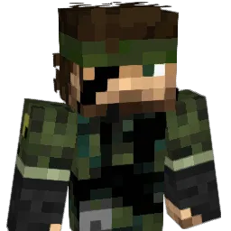 Vikzer
