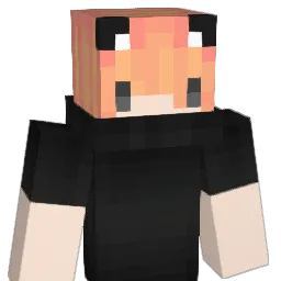 Vile_Smile Minecraft avatar bust