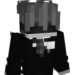 VincentWT