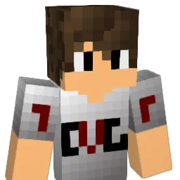 Vinez1 Minecraft avatar bust