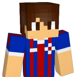 Vingg1