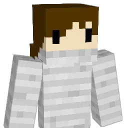Viniblima2010 Minecraft avatar bust