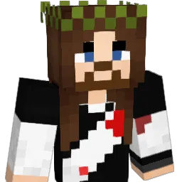 ViniciusDDM Minecraft avatar bust