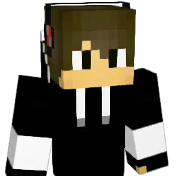 Vinicius_ar Minecraft avatar bust