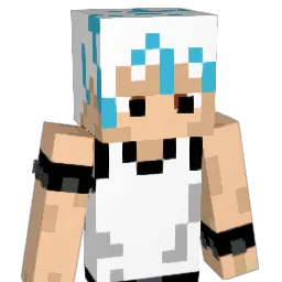 VinniPoo Minecraft avatar bust