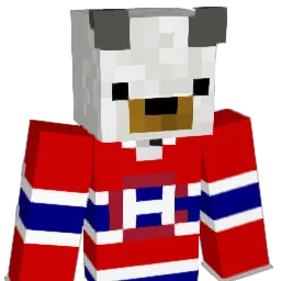 Vinouu Minecraft avatar bust