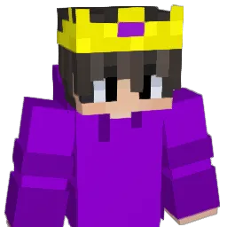 Vipxr__