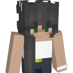 Vir159 Minecraft avatar bust