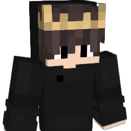 VirgiFi's Minecraft skin