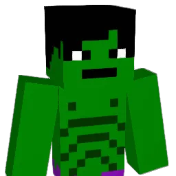 VirtualAnomoly Minecraft avatar bust