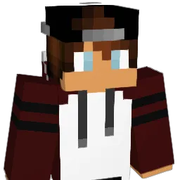 VirtualGames11 Minecraft avatar bust
