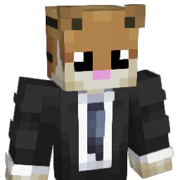 Visma's Minecraft skin
