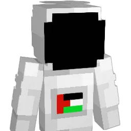 Vital5 Minecraft avatar bust