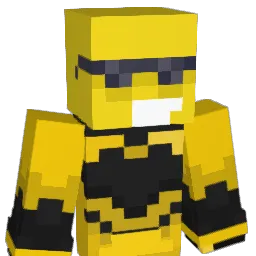 VitalR