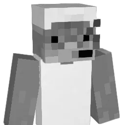 Vitsss_ Minecraft avatar bust