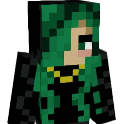 Vixons8's Minecraft skin