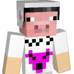 Vizionz__ Minecraft avatar bust