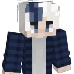 VizualSnow Minecraft avatar bust
