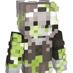Vizzy511 Minecraft avatar bust