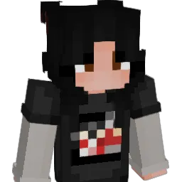 Vjcc19 Minecraft avatar bust