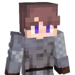 Vlaybor