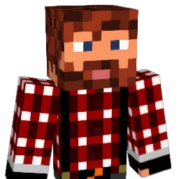 Vne_Flyer Minecraft avatar bust