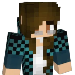 Vnize's Minecraft skin