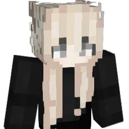 Vnzsa Minecraft avatar bust